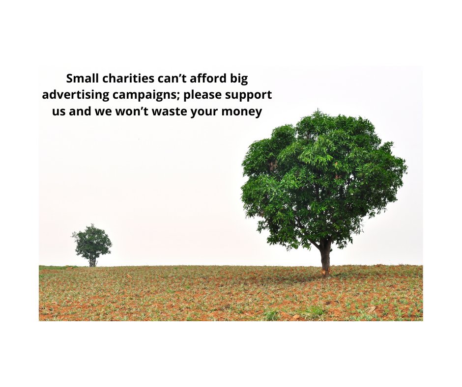 Breathingmatter's tweet photo. Good things come in small packages!  Support our small charity and your funds go direct to our research work https://t.co/0ce3uX1gCl
#Donate #ResearchRocks #HealthIsWealth #DonateForKnowledge #KnowledgeIsPower #SupportOurResearch #ThankYou https://t.co/57AxjvcuWh