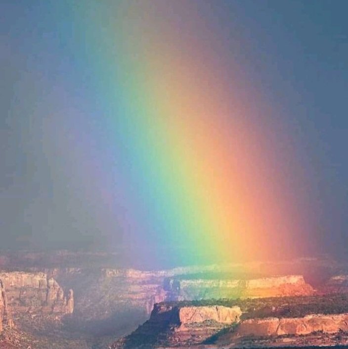 Peggy ☘️ tweet media