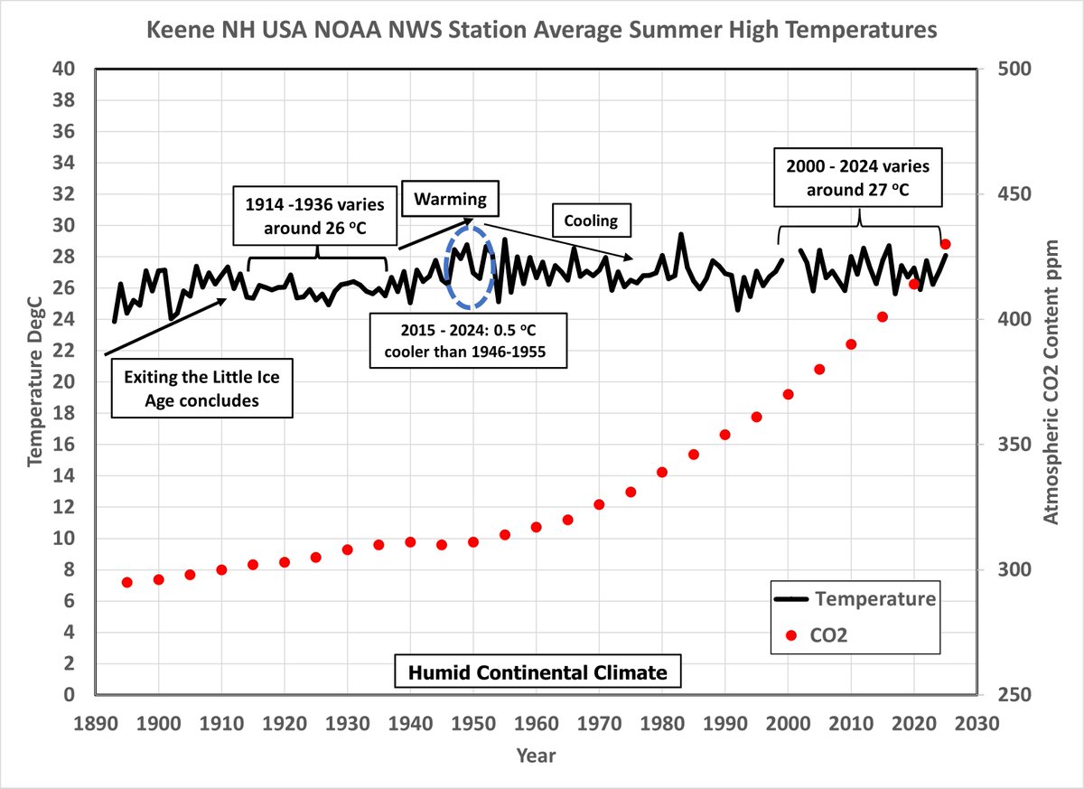 Gordon 🇺🇸🗽🏴‍☠️ tweet media