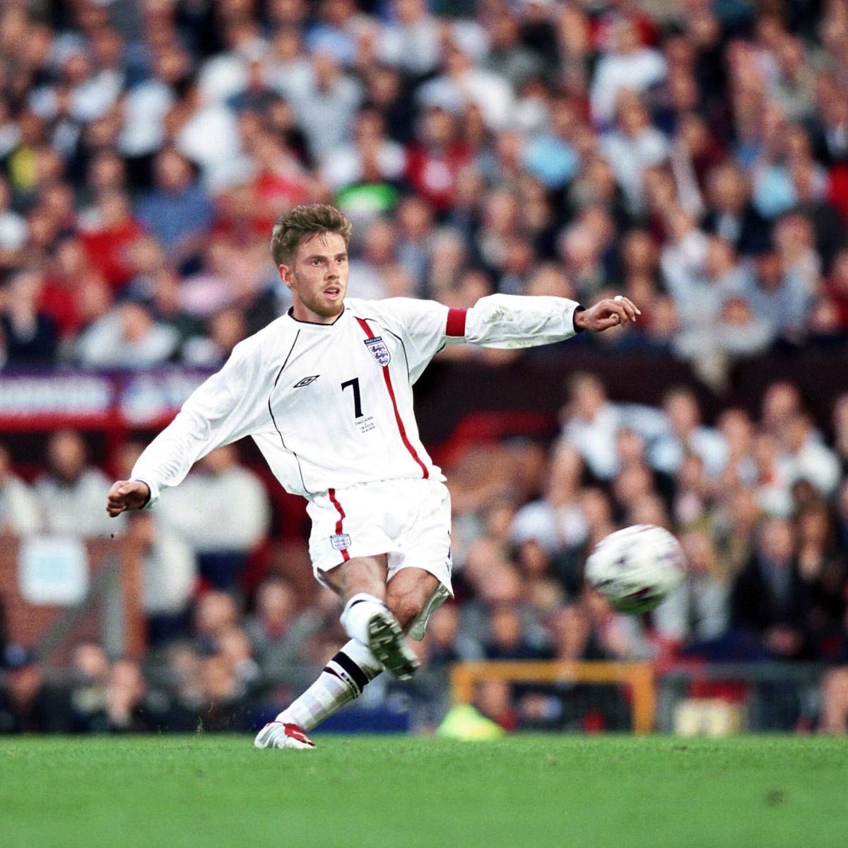 Lalpengu | David Otto Fanbusfahrer tweet media