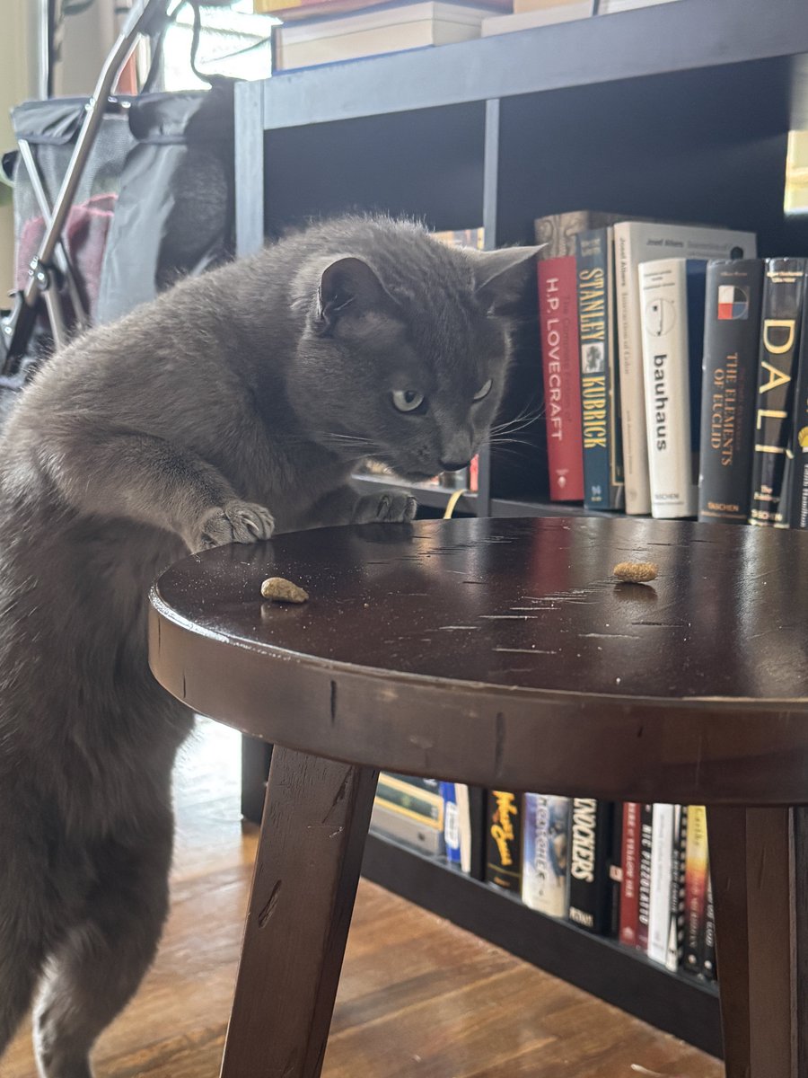 eating breakfast with otis and then it is time to take arc raiders photos all day 😎