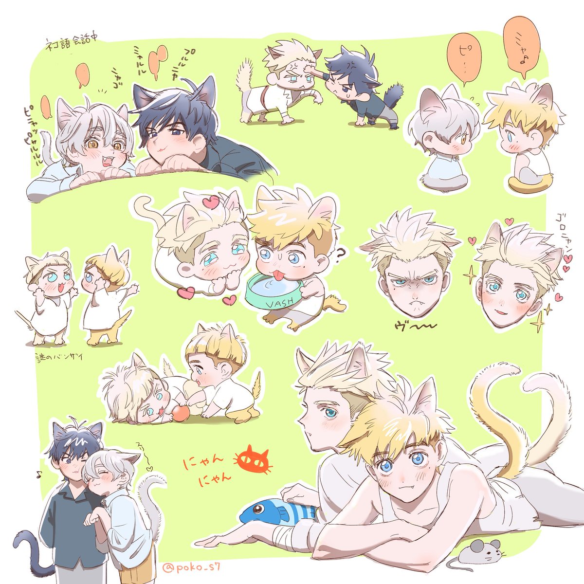 出遅れたけどこねこちゃんたちです