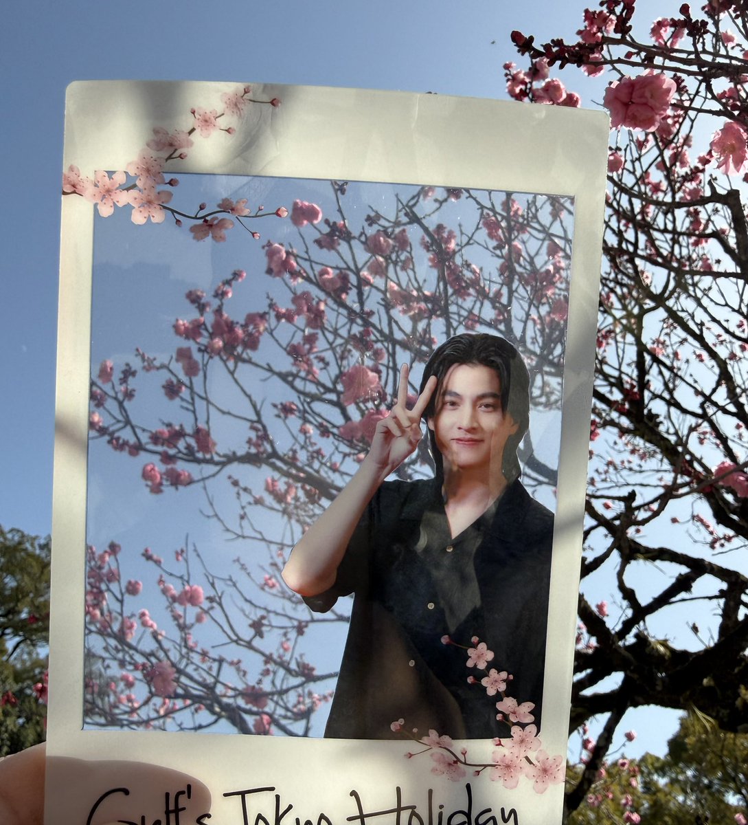 ラストは
桜なんだか、梅なんだかなガルフ
#GulfKanawut