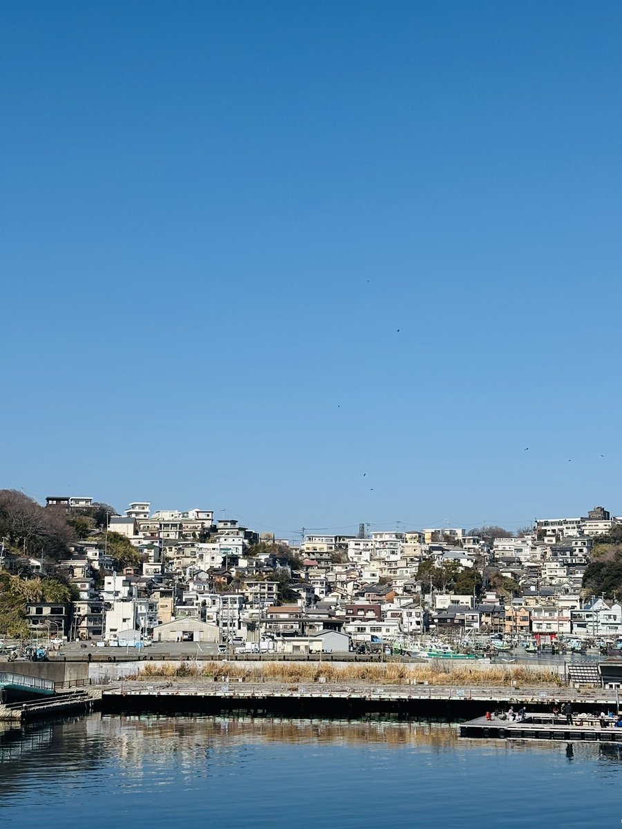 YorkieBrothers's tweet photo. 和歌山　雑賀崎＆浪早ビーチ https://t.co/CtL4u4pPEH