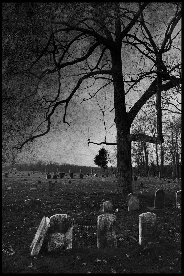 گھر سے اک مسافر چلا جس کے کچھ ارمان تھے کچھ قدم آگے چلا راستے میں قبرستان تھے قبرستان میں اک ہڈی ملی جس کے کچھ بیان تھے اے مسافر سنبھل کے چل ہم بھی کبھی انسان تھے...