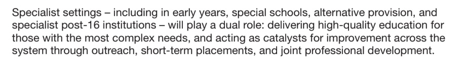 Special schools are full. Staff are exhausted. So how would they educate the most complex pupils and provide outreach, short-term placements and training across the system? With what staff? What funding? What time? Genuinely, how is this meant to work?