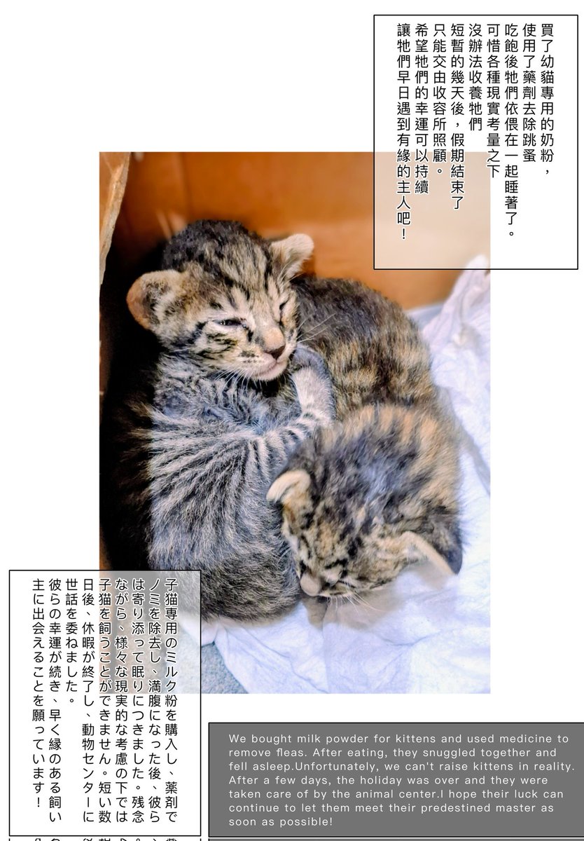 🚙 🐈‍⬛🐈‍⬛
雖然知道冬天要留意流浪貓可能會躲進車子裡面取暖，但是這次過年期間，南部的溫度是16～25°c，很溫暖的天氣😅沒想到會發生這個情況，大概是因為日夜溫差大吧。希望大家開車之前敲敲引擎蓋，確認小動物沒有躲在裡面哦🥹