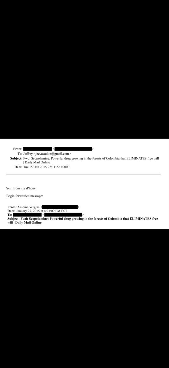 Maggie Wegner tweet media