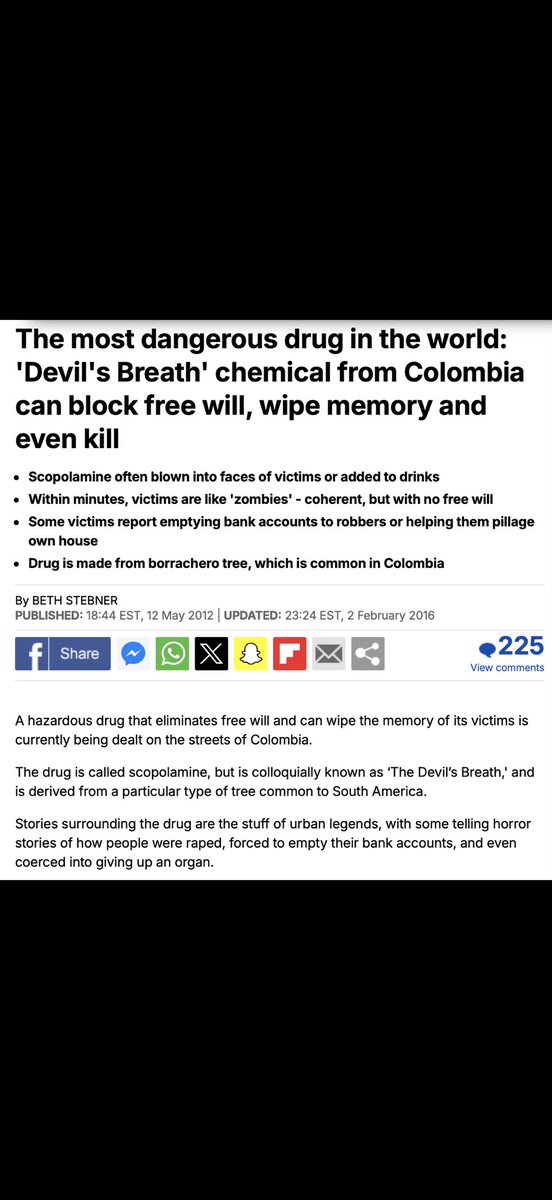 Maggie Wegner tweet media