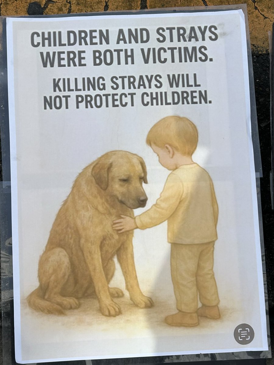 md51_d's tweet photo. 路上から野良犬を排除するための法律を撤廃し､殺処分より人道的な対策を求める抗議を名古屋🇹🇷領事館前で行いました。さらにトルコでは動物保護法で禁止されている闘犬が多くの地域で行われている！ また利用された犬を遺棄することも重要視しなければなりません！
#yasayıgeriçek
#humanesolution https://t.co/ibkjvYL08y
