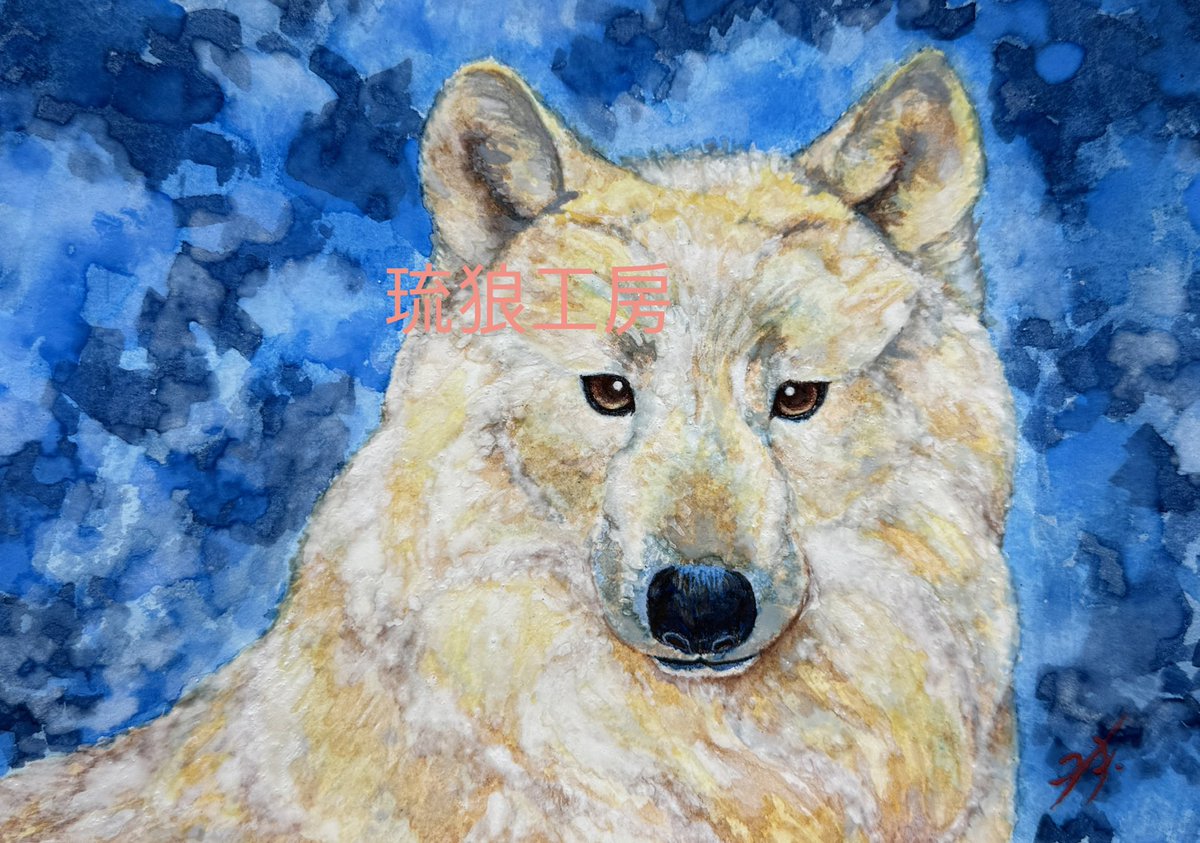 北極狼（日本画） 22日猫の日に完成した北極狼です。 最初ミニ