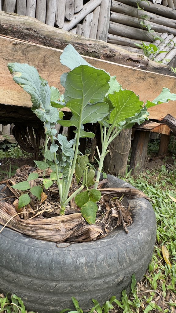 Wilmat Development Foundation tweet media