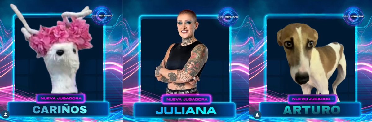 Hoy empieza un nuevo GH, pero ninguno nos va a dar momentos tan icónicos como nos dieron ellos, un reno de telgopor, una jugadora tatuada rompiendo la cuarta pared y un perro que era más inteligente que la mitad de la casa🥹🫶🏼 insuperable!

#GranFuria #GranHermano
