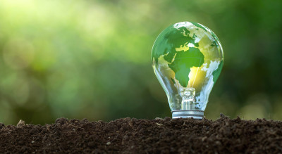 Andersen tweet media