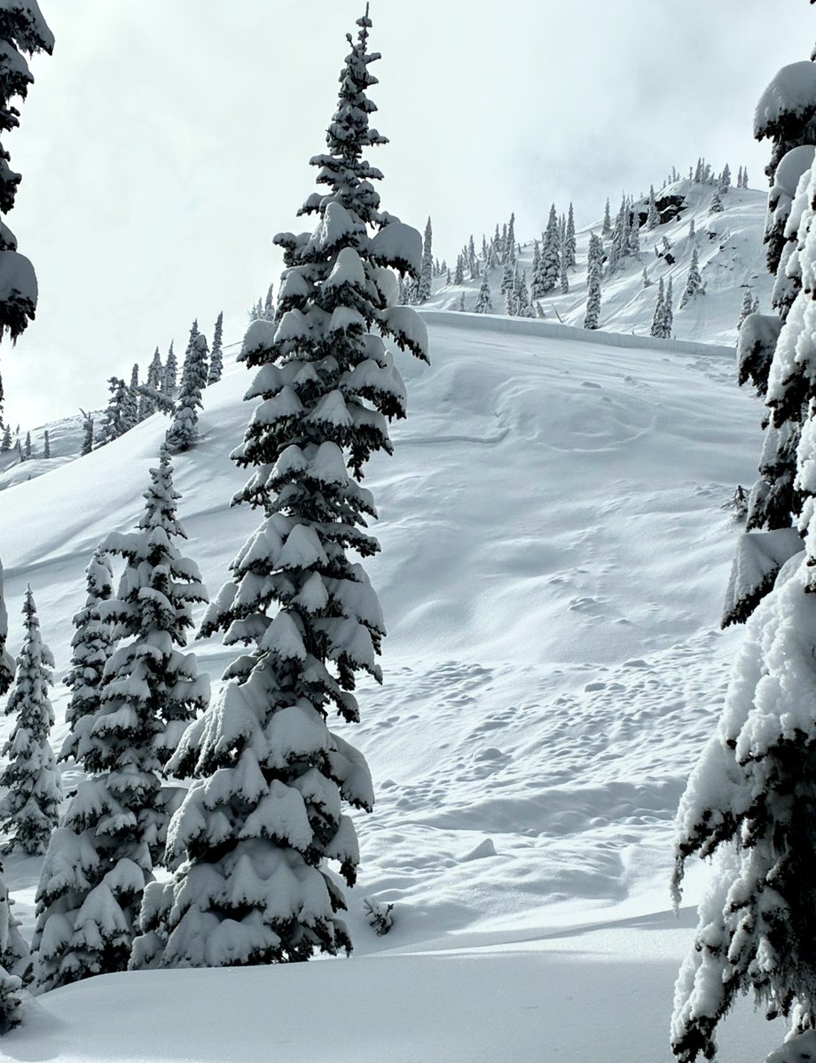 An Avalanche Warning is in effect. Very dangerous avalanche conditions will develop today as a potent storm hits our already weak snowpack with a one-two punch of drifted and new snow. Stay out of - and far away from - avalanche terrain today.