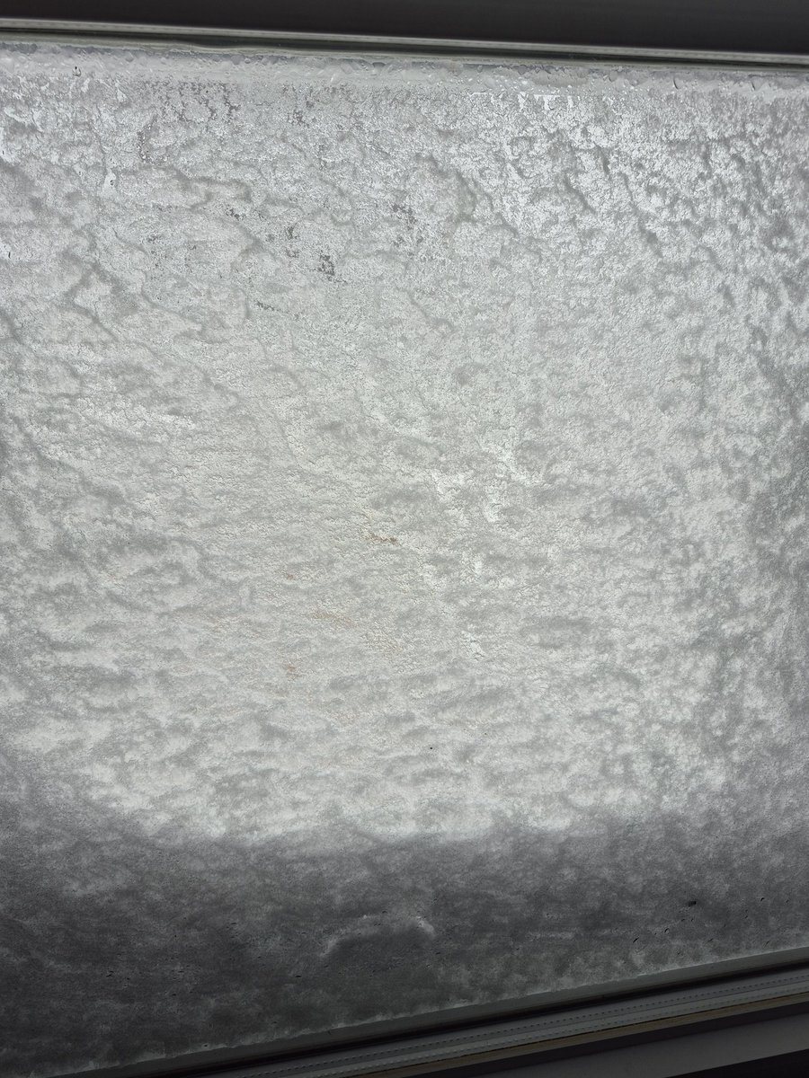 Hazel Juniper 🌱 Elf Vtuber tweet media