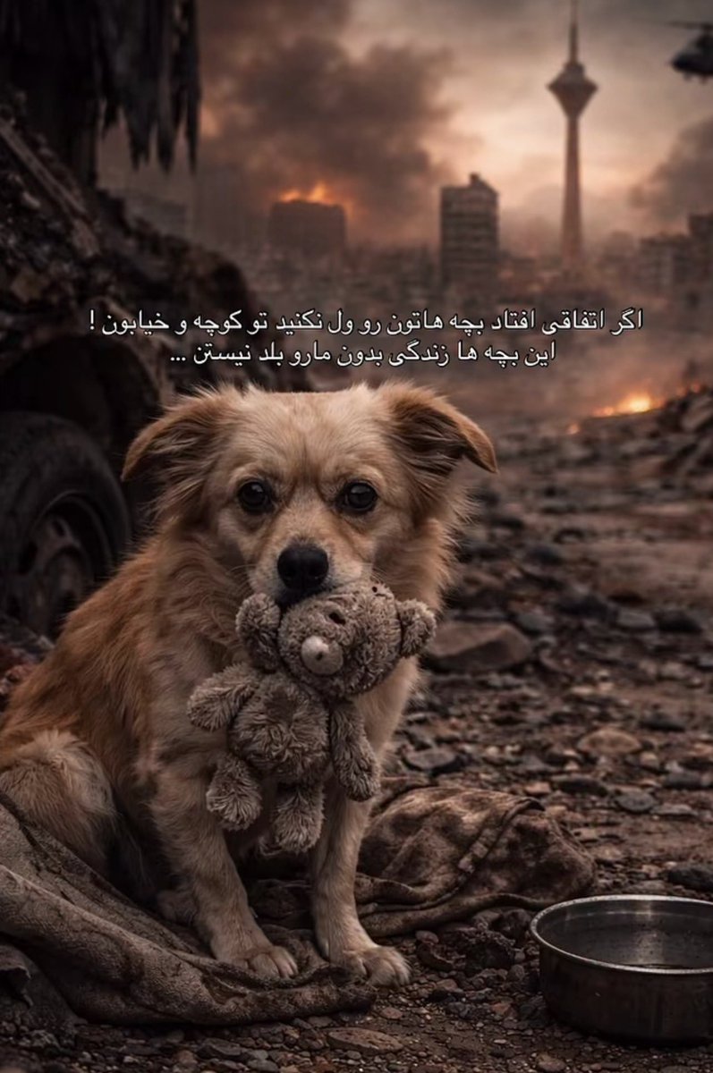 🖤مامان آشیل🐶🖤 tweet media
