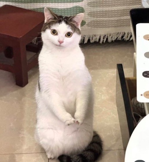 <a href="/Kerymai_/">KM</a> ไปลอง google ดู ..มันมีแต่แบบข้างล่างเนี่ยค่ะ เลียนแบบยากจัง