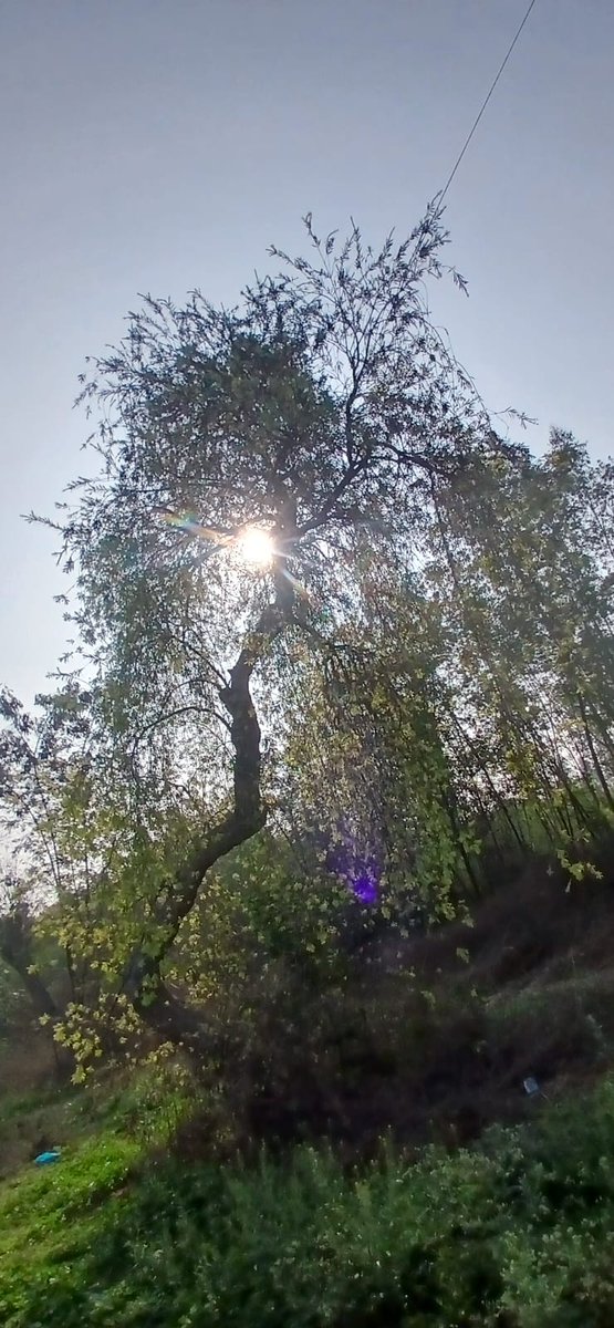 Truthvibeswrite's tweet image. Destiny never leaves
thee in lurch
It took a vow
ages ago
&amp;amp;
Karma catches up
steady
yet not slow
those
who #knowingly
add to thine woe
She masters the brush
no whisper
no hush
See me in all my flaws
immortal legacy of love is beyond worldly laws

#vss365
#FoxProse
#fairytalepoets