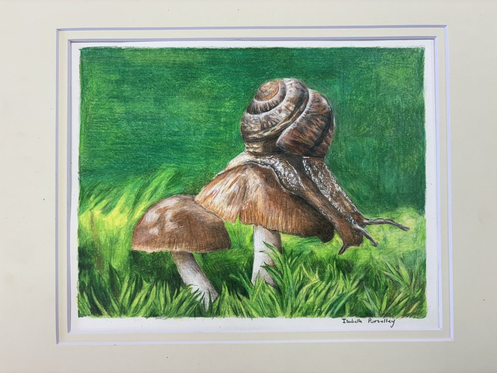 Oxford USD 358 tweet media