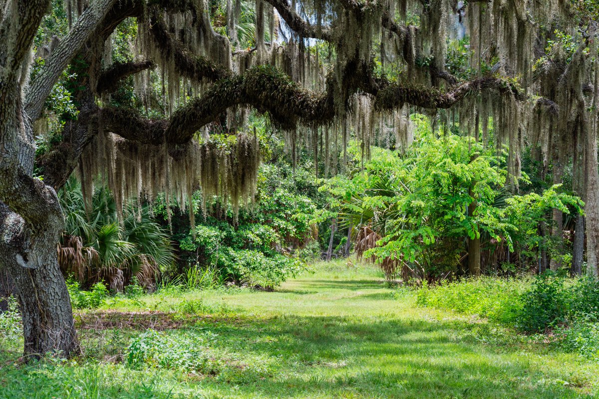 St. Pete Parks & Rec tweet media