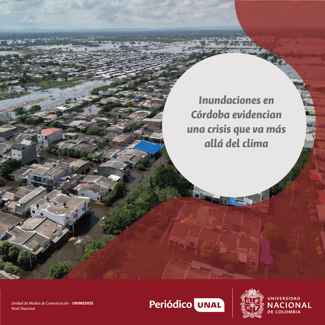 PrensaUNAL's tweet photo. #PeriodicoUNAL | Planificar y ocupar el territorio de espaldas al agua agrava la emergencia en #Córdoba. Hoy, más de 60.000 hectáreas están inundadas en la cuenca del río Sinú y cerca de 50.000 familias resultan afectadas.

Expertos analizan
https://t.co/WCfVqo156V https://t.co/PTKfukerML