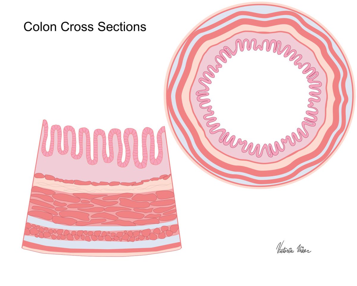 Science Writers and Communicators of Canada tweet media