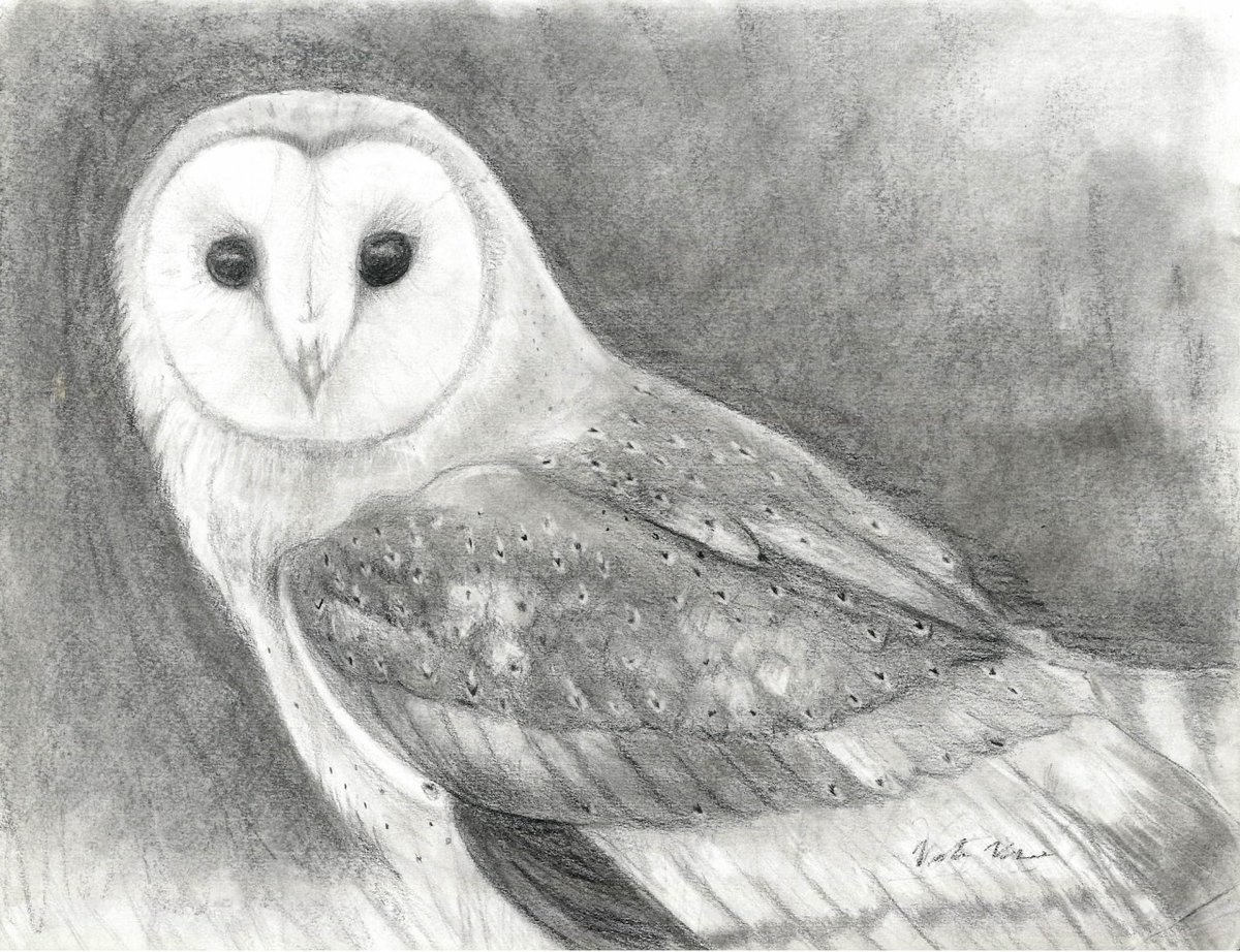 Science Writers and Communicators of Canada tweet media