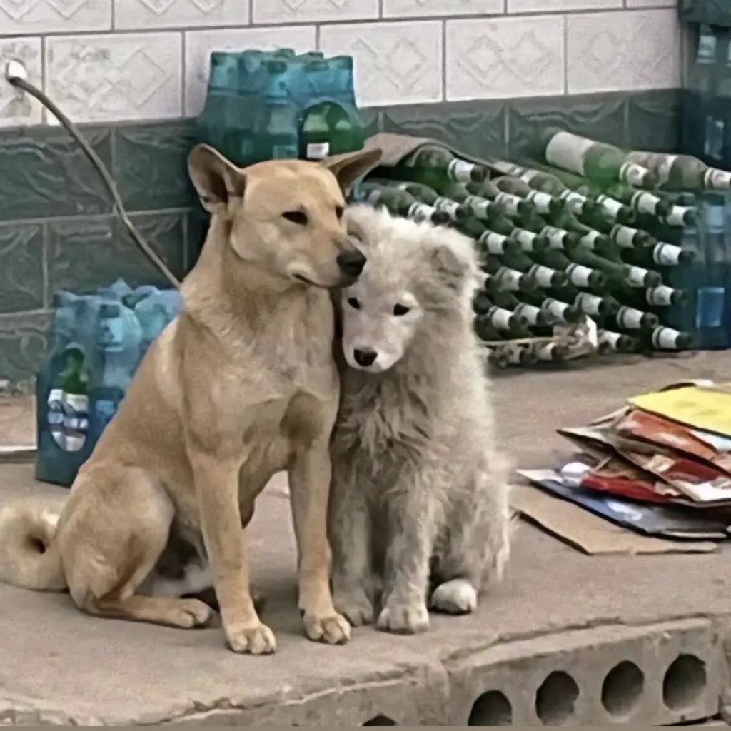 คุนนุอย่ามาใก้ผมเลยคับ

ทำมัยคะ

ผมจาเปื้อน