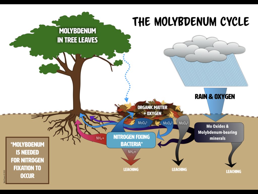 Matt Powers tweet media