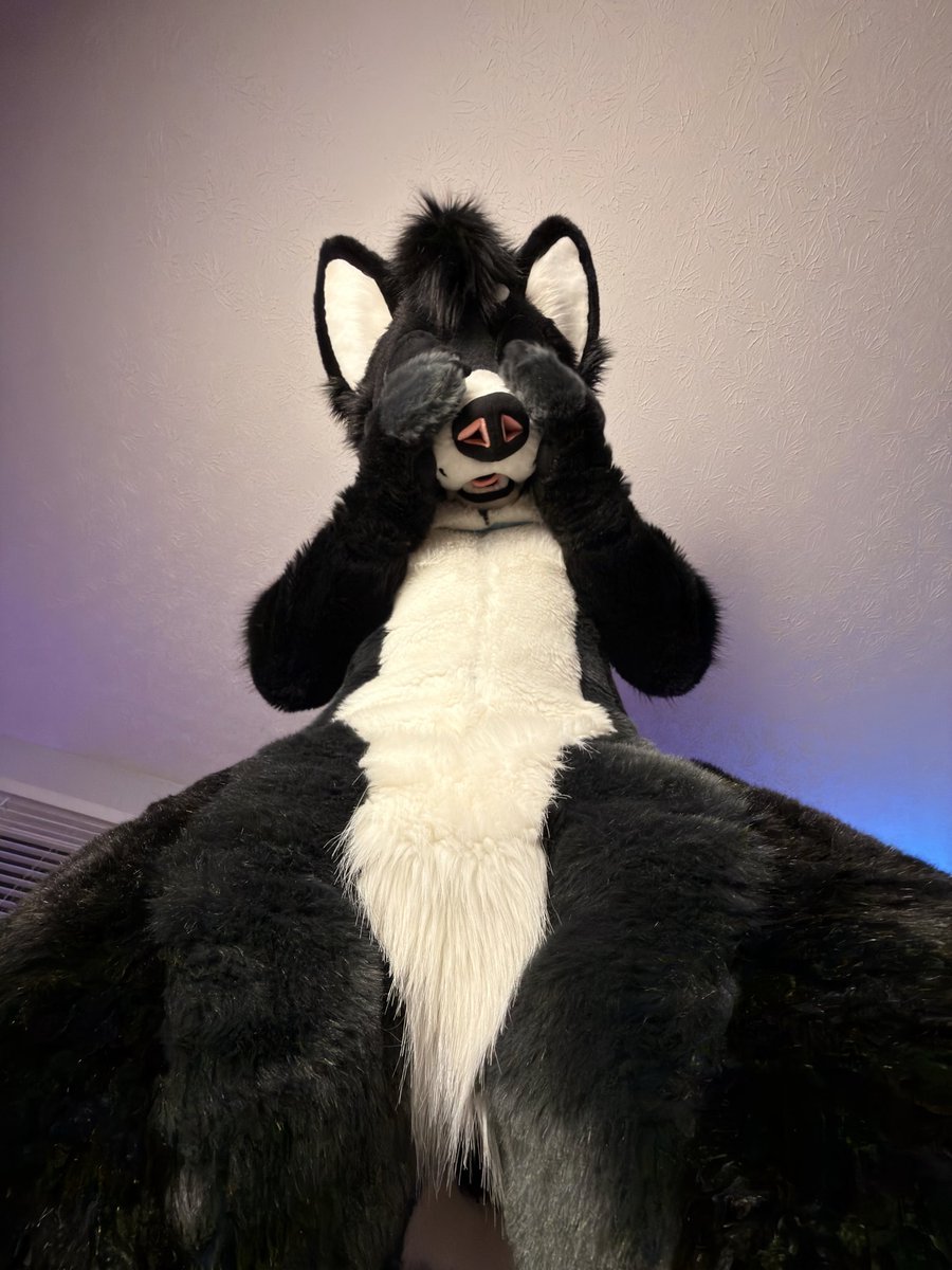 Kial 🔜 LVFC tweet media