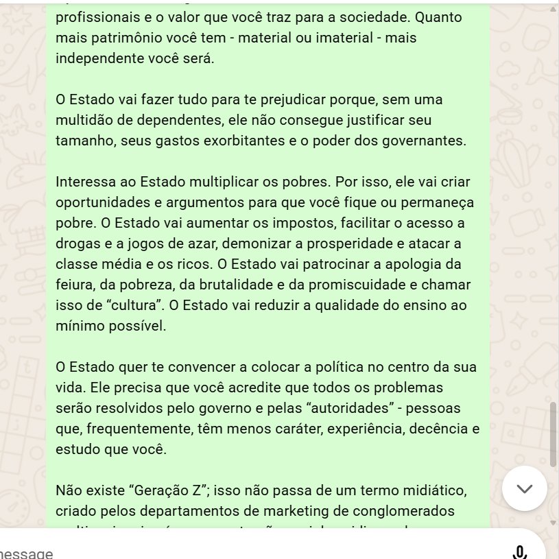 Paula Schmitt tweet media