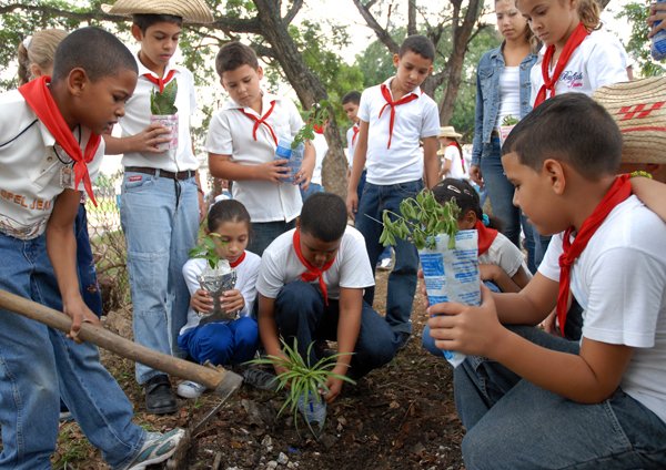 aray_machado's tweet photo. Convocan al concurso pioneril Juntos protegemos el bosque https://t.co/5wNFFOcRY3