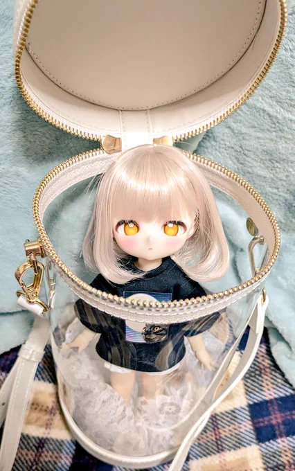 ※ドール写真※ かぼちゃ体にしたティリーちゃん、ユザワヤの30センチくらいのぬいバッグに入る。座ってもギリ入る。見た目のバランスは1/3ヘッド+1/6ボディみたいな感じする。お洋服はピュアニモSのかなぁ…みらちゃんのワンピは背中がきつくて閉まらなかった。丈は良かったんだけどなー #TinyFox