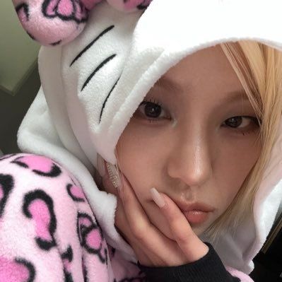 Ing Hermann Hubel MBA tweet media