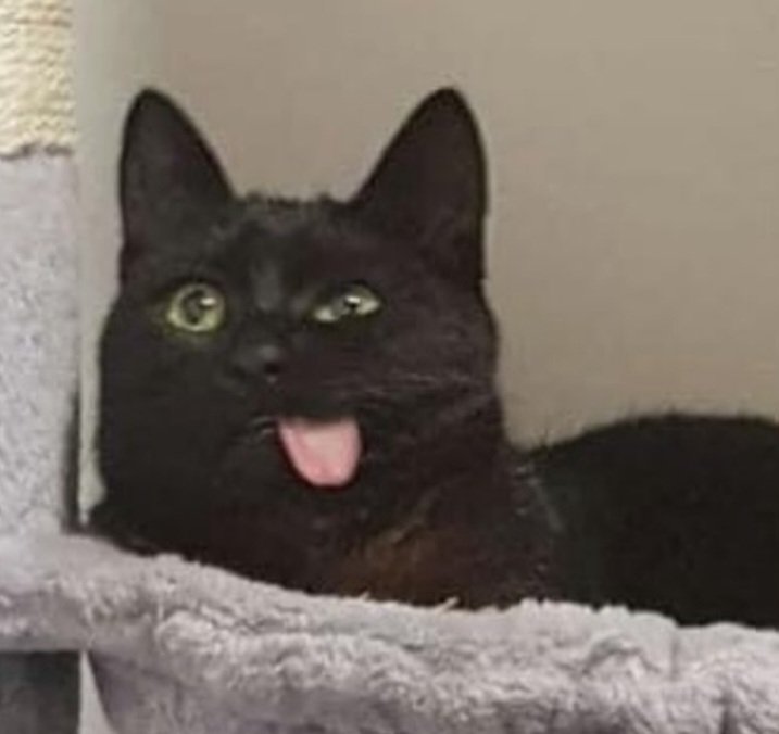 Frank (@blowupchildren) on Twitter photo 