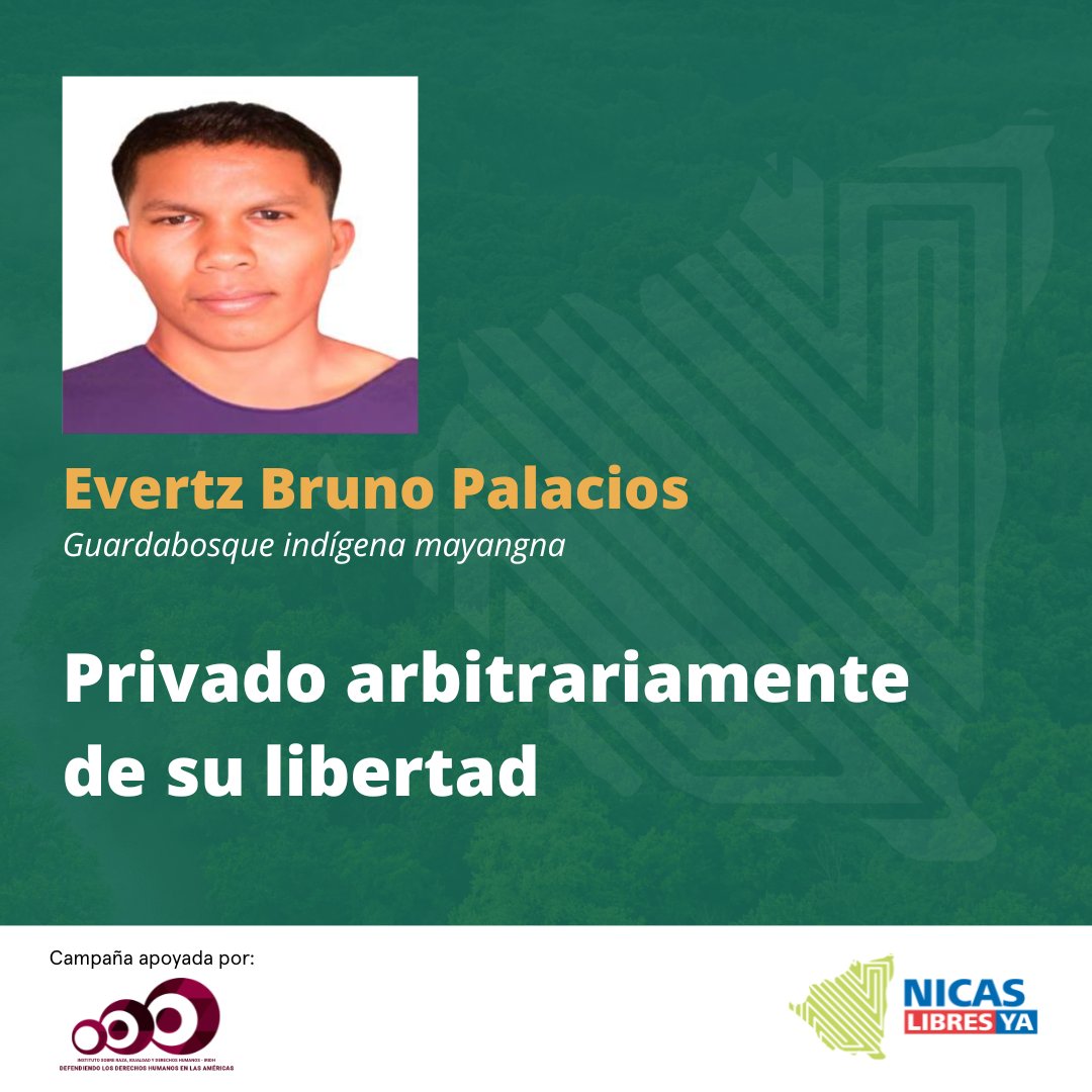 Nicas Libres Ya tweet media