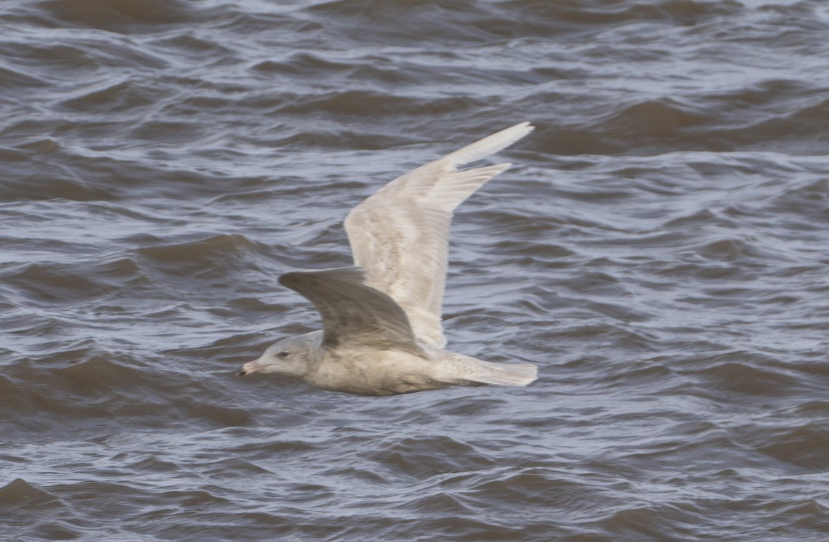 Andy Hale tweet media