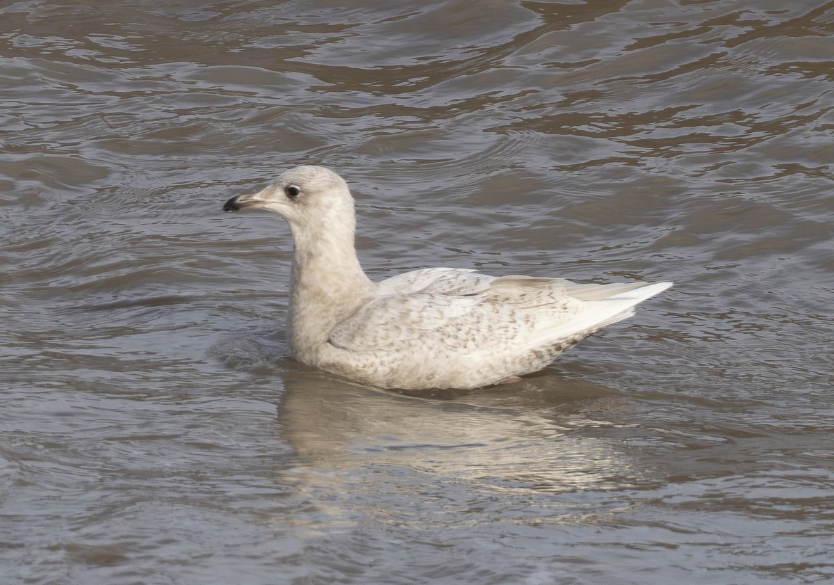 Andy Hale tweet media