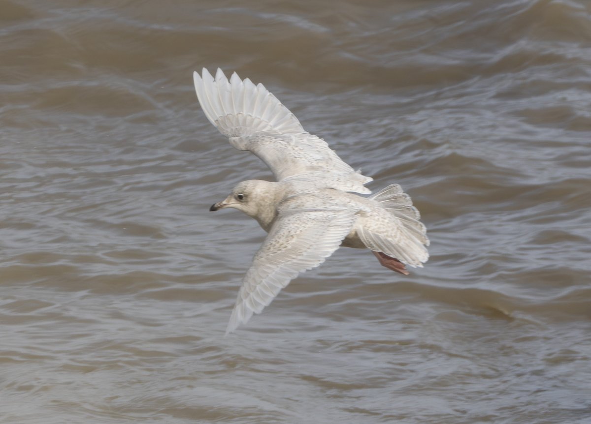 Andy Hale tweet media