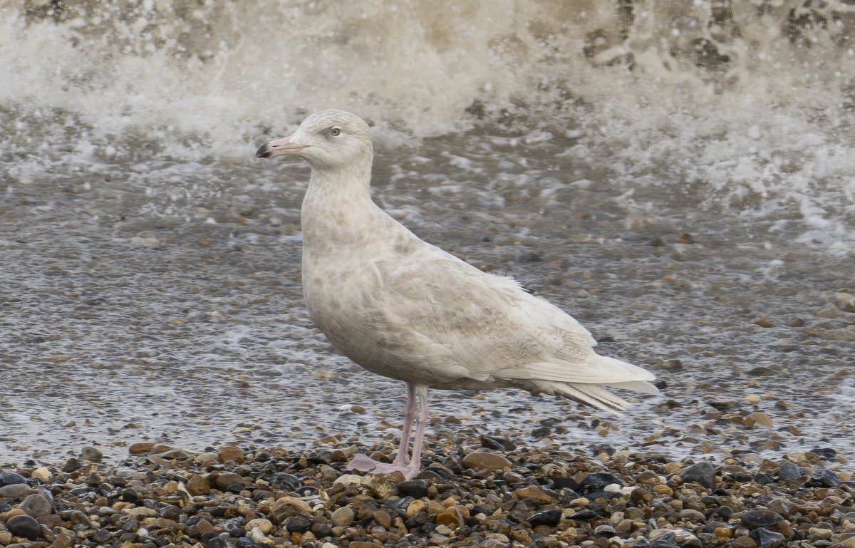 Andy Hale tweet media