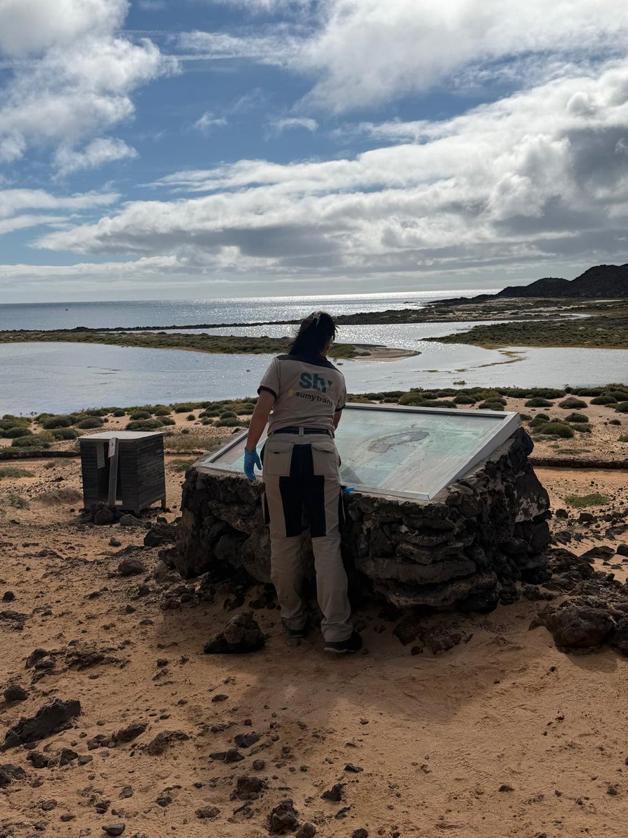 STV Gestión tweet media