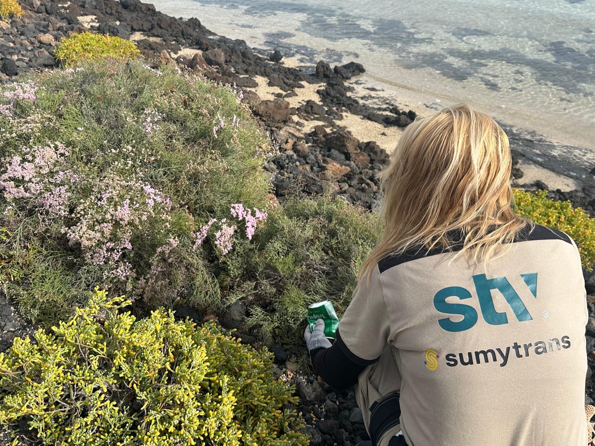 STV Gestión tweet media