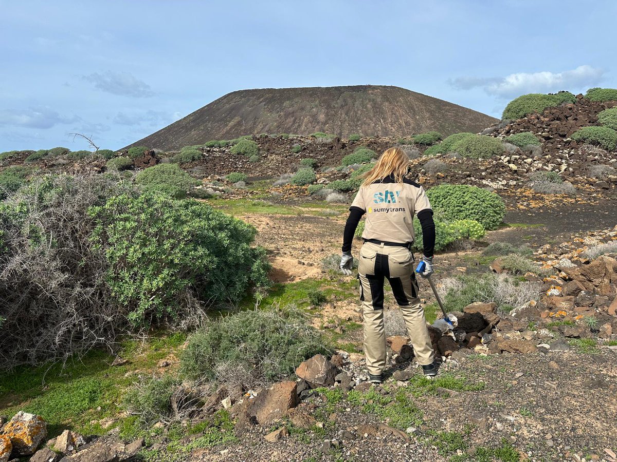 STV Gestión tweet media