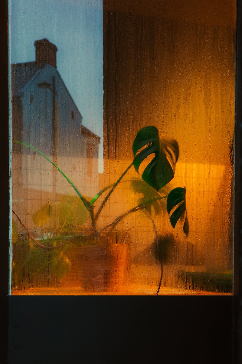 Stuart Peach 📸 tweet media