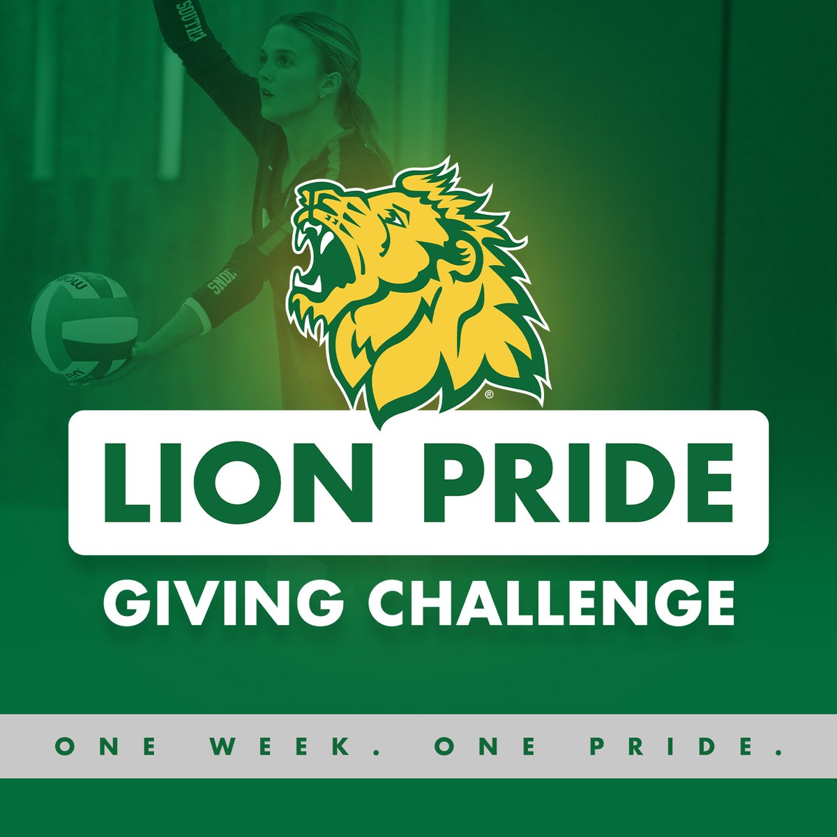 MSSU Volleyball tweet media