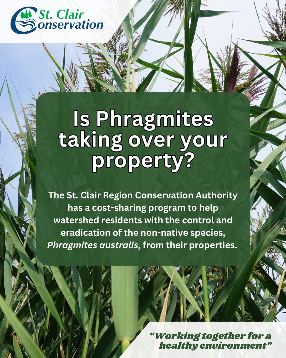 St Clair Conservation tweet media