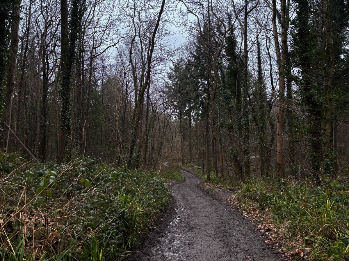 girlnthewoods's tweet photo. my walk today https://t.co/lnec6AF6yN