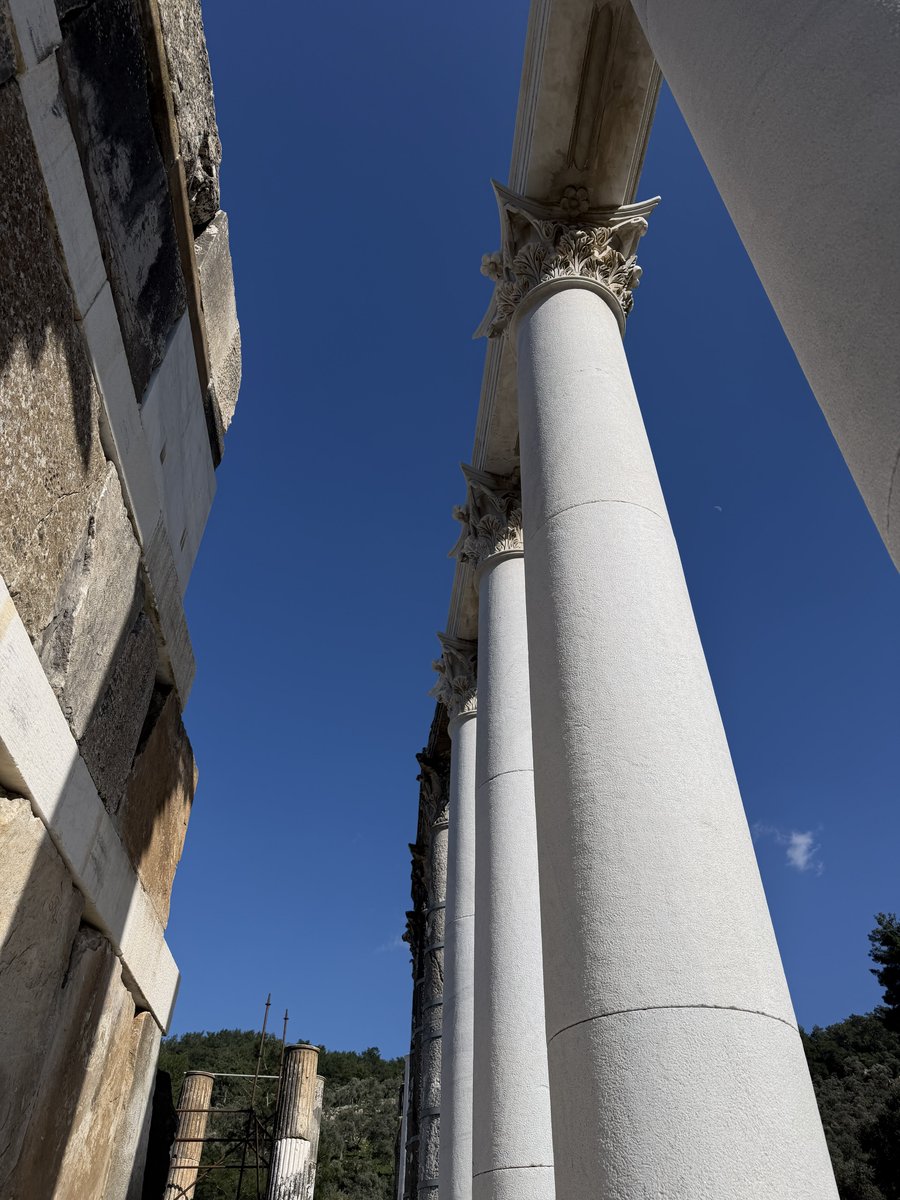 Yusuf SEZGİN tweet media