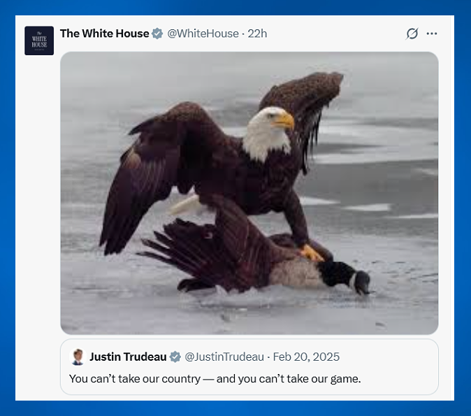 Fun Tom 🇨🇦 💂 tweet media